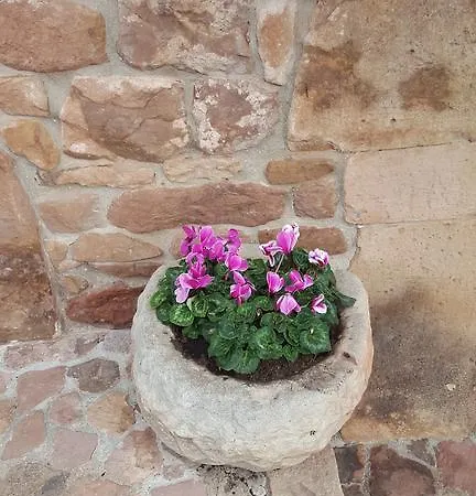 Сasa de vacaciones Pocotrigo Linares (Cantabria)