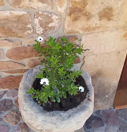 Pocotrigo Сasa de vacaciones