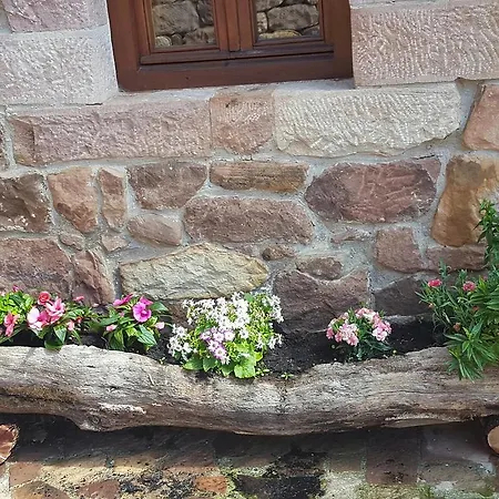 Сasa de vacaciones Pocotrigo