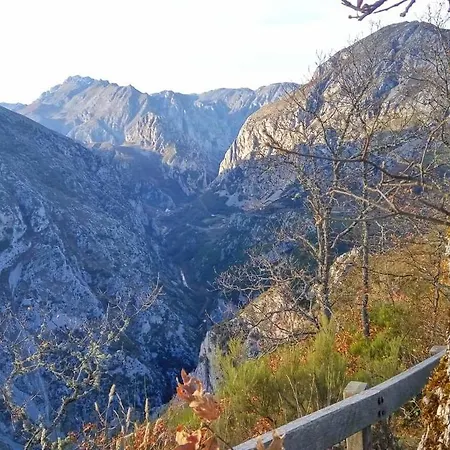 Сasa de vacaciones Pocotrigo *