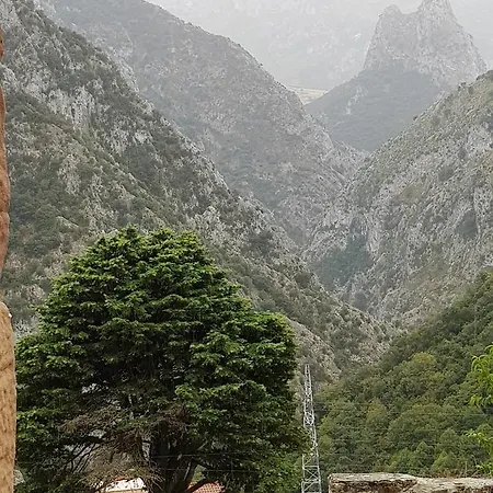 Сasa de vacaciones Pocotrigo *