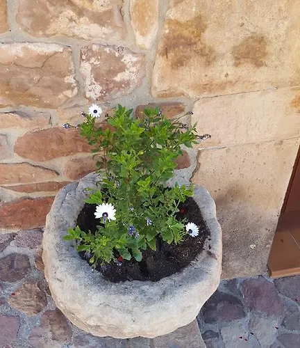 Pocotrigo Ferienhaus