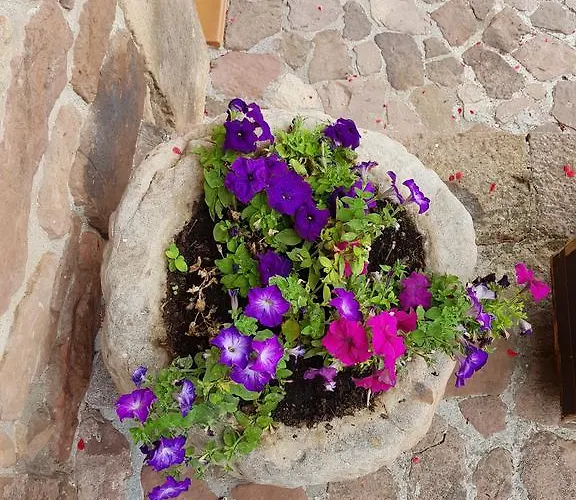 Ferienhaus Pocotrigo